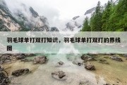 羽毛球单打双打知识，羽毛球单打双打的界线图