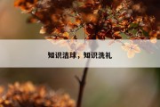 知识洁球，知识洗礼