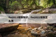 fm2013球探知识，fm2021球探怎么用