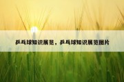 乒乓球知识展览，乒乓球知识展览图片