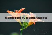 排球垫球重要知识，排球垫球的基本要求