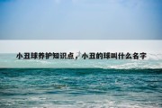 小丑球养护知识点，小丑的球叫什么名字