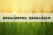 鸾凤玉仙人球养护知识，鸾凤玉仙人球怎么养