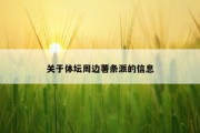 关于体坛周边薯条派的信息