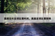 美国狂欢足球比赛时间，美国足球比赛视频