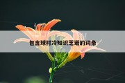 包含球村冷知识芝诺的词条