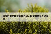 国安对申花比赛直播时间，国安对申花全场录像