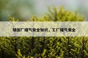 球团厂煤气安全知识，工厂煤气安全