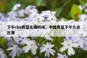 下午cba男蓝比赛时间，中国男篮下午几点比赛
