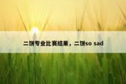 二饼专业比赛结果，二饼so sad