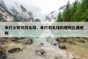 单打小知识羽毛球，单打羽毛球的规则比赛规则