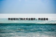 传送球冷门知识大全图片，传送是啥