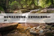 体坛专访王楚钦视频，王楚钦的比赛视频2020