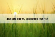 羽毛球型号知识，羽毛球型号代表什么