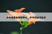 乒乓球基本接球知识，乒乓球接球技术