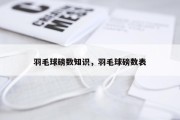 羽毛球磅数知识，羽毛球磅数表