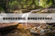 猩球崛起的生物知识，猩球崛起中的生物知识