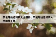 羽毛球挑选知识大全图片，羽毛球挑选知识大全图片下载