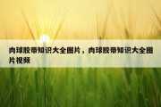 肉球胶带知识大全图片，肉球胶带知识大全图片视频