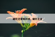 破烂之家知识球，破烂之乡