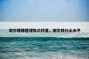 谢尔顿橄榄球知识科普，谢尔顿什么水平