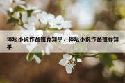 体坛小说作品推荐知乎，体坛小说作品推荐知乎