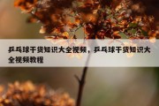 乒乓球干货知识大全视频，乒乓球干货知识大全视频教程