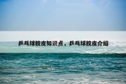 乒乓球胶皮知识点，乒乓球胶皮介绍