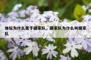 体坛为什么属于国家队，国家队为什么叫国家队