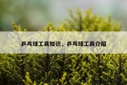 乒乓球工具知识，乒乓球工具介绍