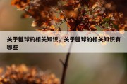 关于毽球的相关知识，关于毽球的相关知识有哪些