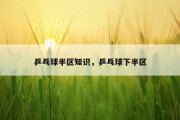 乒乓球半区知识，乒乓球下半区