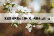 王者荣耀天王山比赛时间，天王山之战rng