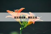 区比赛结果，赛区总结