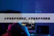 小学体育乒乓球知识，小学体育乒乓球教案