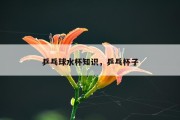 乒乓球水杯知识，乒乓杯子