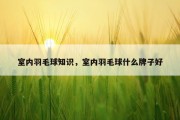 室内羽毛球知识，室内羽毛球什么牌子好