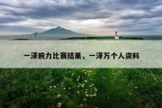 一泽腕力比赛结果，一泽万个人资料