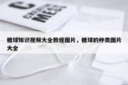 糖球知识视频大全教程图片，糖球的种类图片大全
