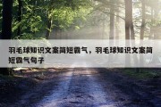 羽毛球知识文案简短霸气，羽毛球知识文案简短霸气句子