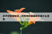 乒乓球弧圈知识，乒乓球的弧圈技术是什么意思