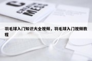 羽毛球入门知识大全视频，羽毛球入门视频教程