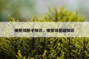 橄榄球新手知识，橄榄球基础知识