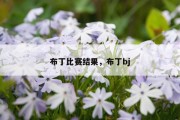 布丁比赛结果，布丁bj