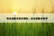 羽毛球新手知识须知，羽毛球新手教学