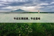牛庄比赛结果，牛庄是啥