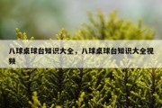 八球桌球台知识大全，八球桌球台知识大全视频