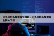 羽毛球陪练知识大全图片，羽毛球陪练知识大全图片下载