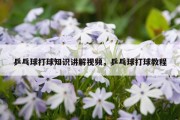乒乓球打球知识讲解视频，乒乓球打球教程