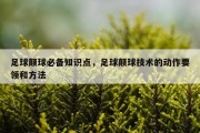 足球颠球必备知识点，足球颠球技术的动作要领和方法